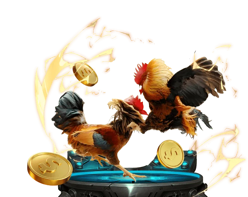 Nâng cấp bảo mật 55win55